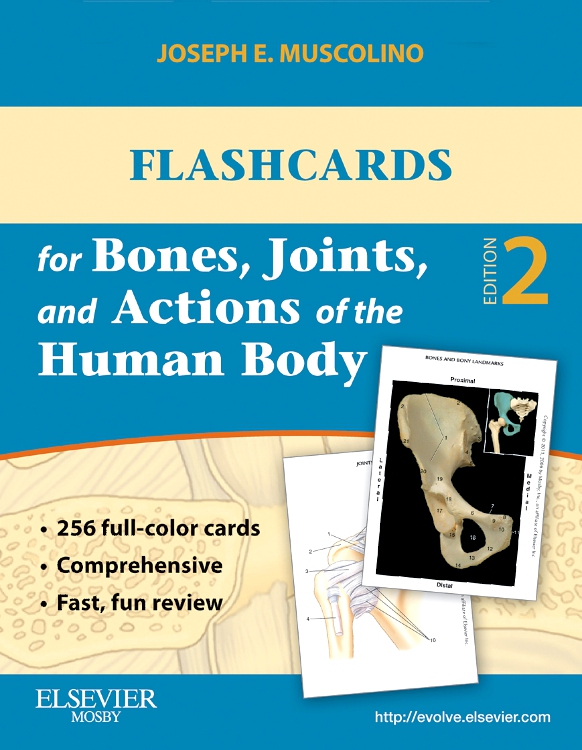 Flashcards for Bones, Joints, and Actions of the Human Body