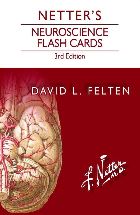 Netter's Neuroscience Flash Cards