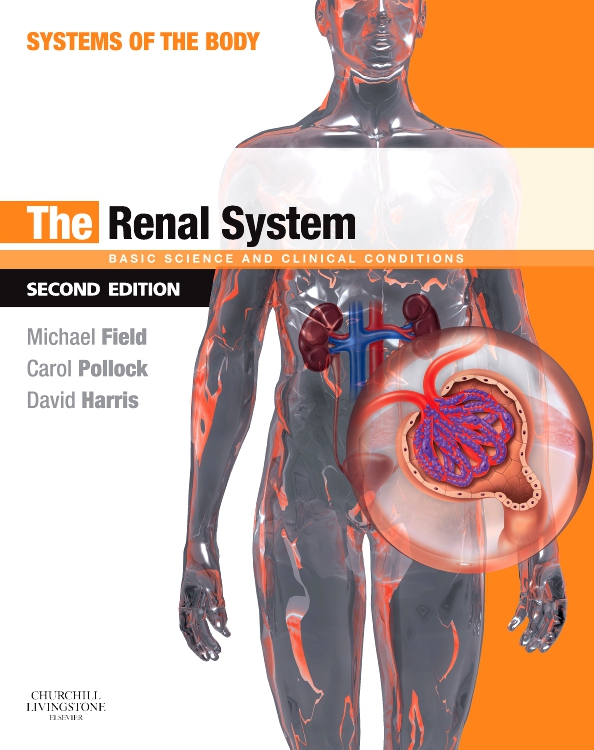 The Renal System