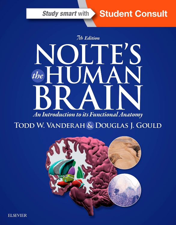 Nolte's The Human Brain