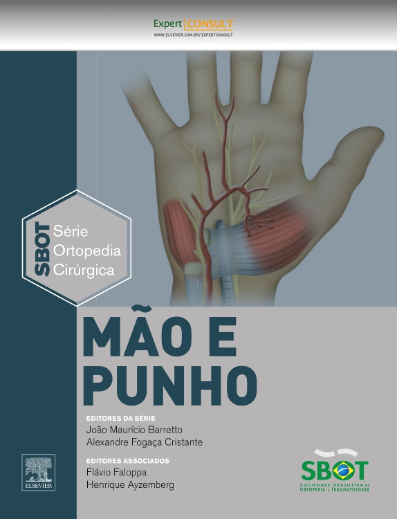 Mão e Punho