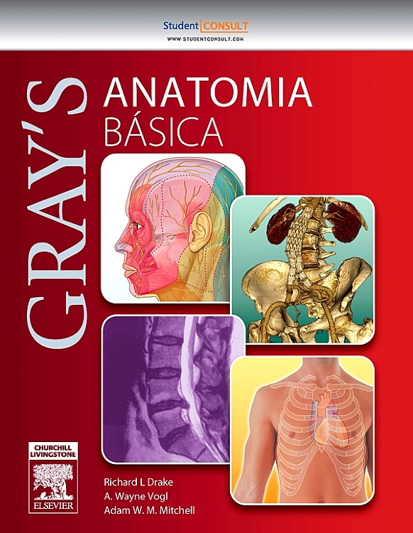Gray Anatomia Básica