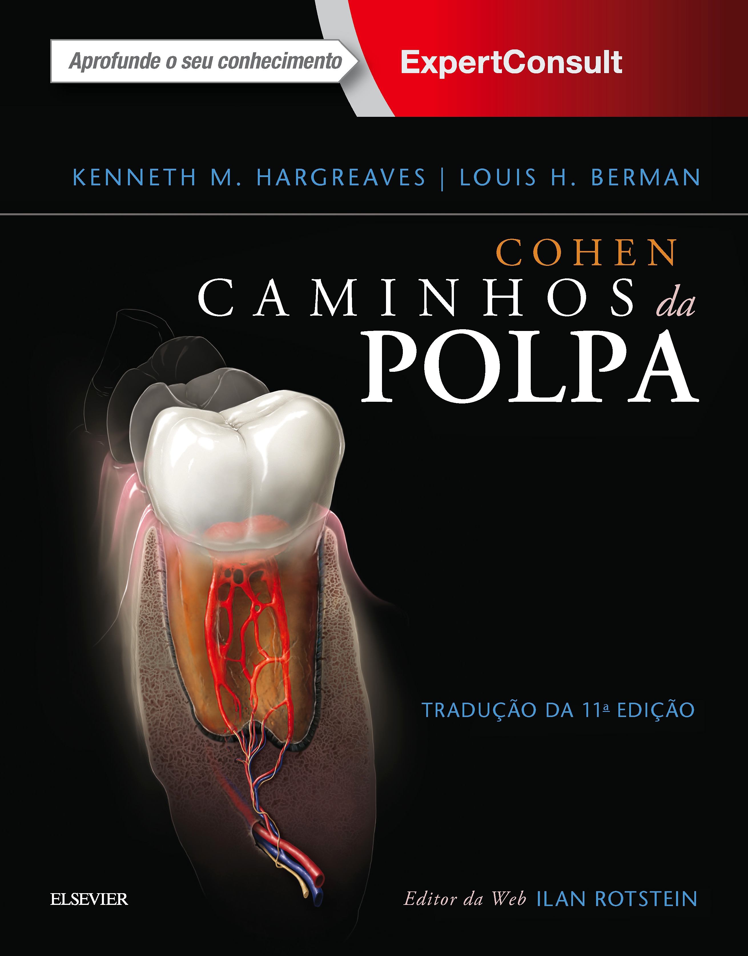 Cohen Caminhos da Polpa