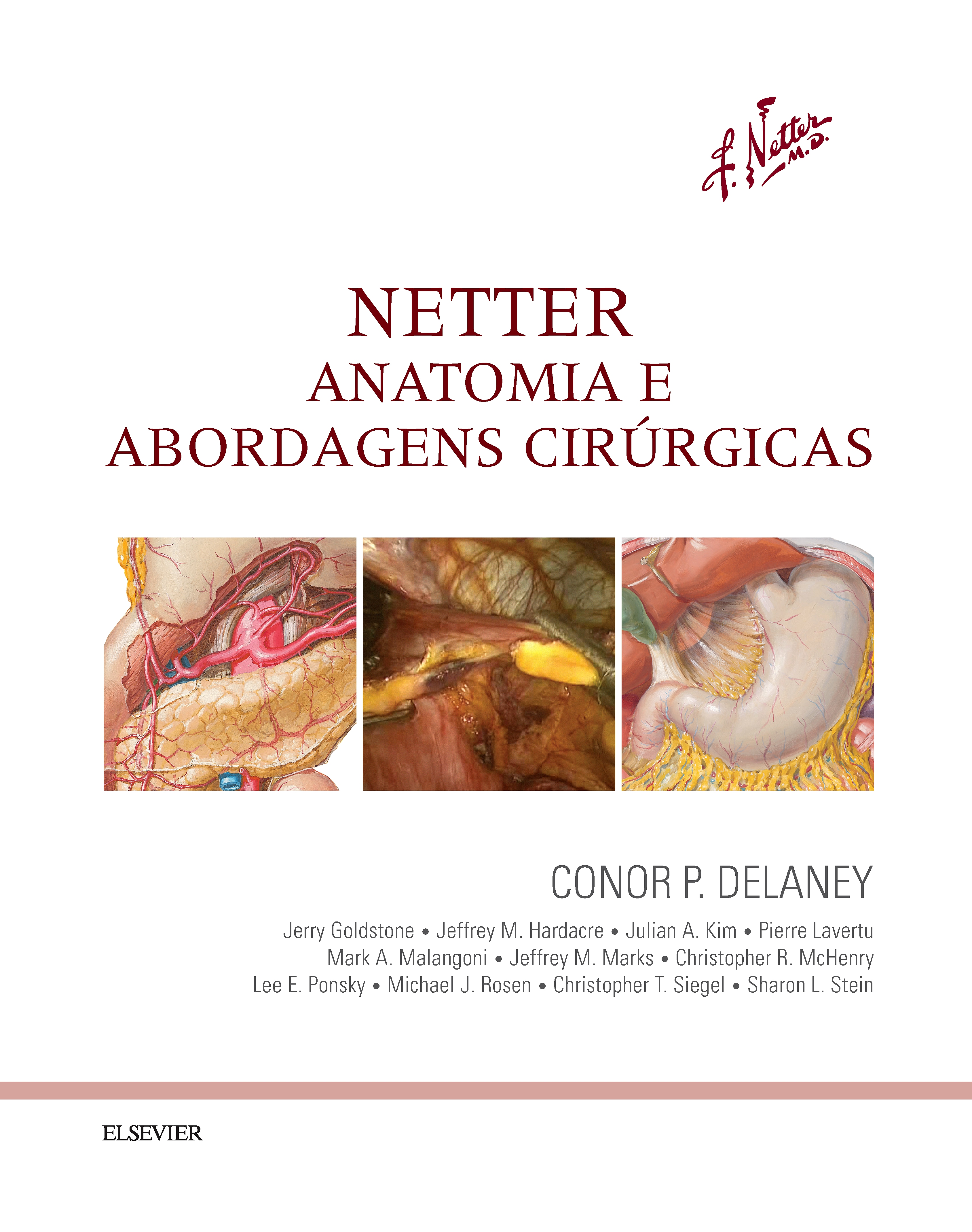 Netter Anatomia e Abordagens Cirúrgicas