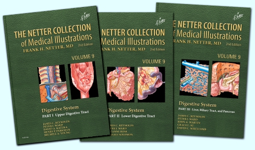 The Netter Collection of Medical Illustrations: Digestive System Package