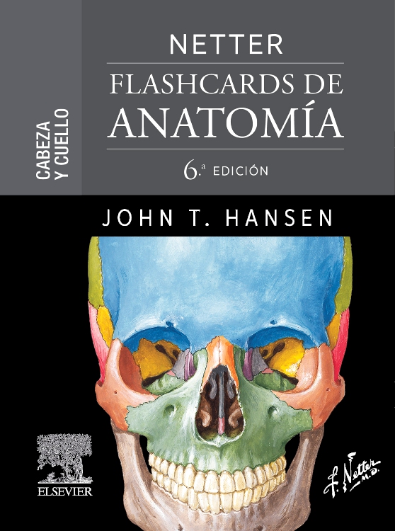 Netter. Flashcards de anatomía. Cabeza y cuello Edition 6 By John T