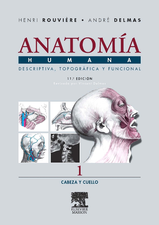 Anatomía Humana Descriptiva, topográfica y funcional. Tomo 1. Cabeza y cuello
