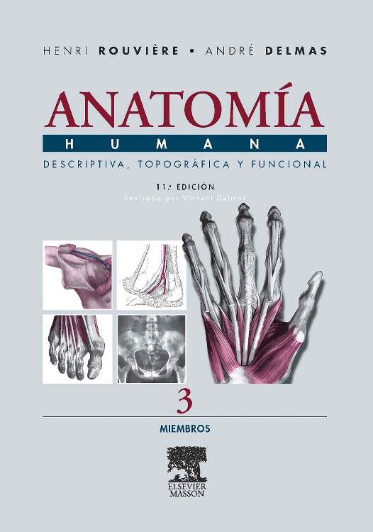 Anatomía Humana Descriptiva, topográfica y funcional. Tomo 3. Miembros